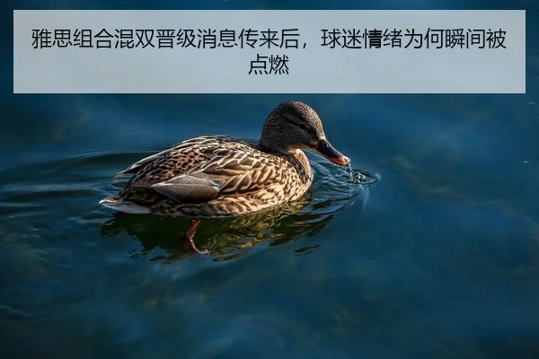 雅思组合混双晋级消息传来后，球迷情绪为何瞬间被点燃